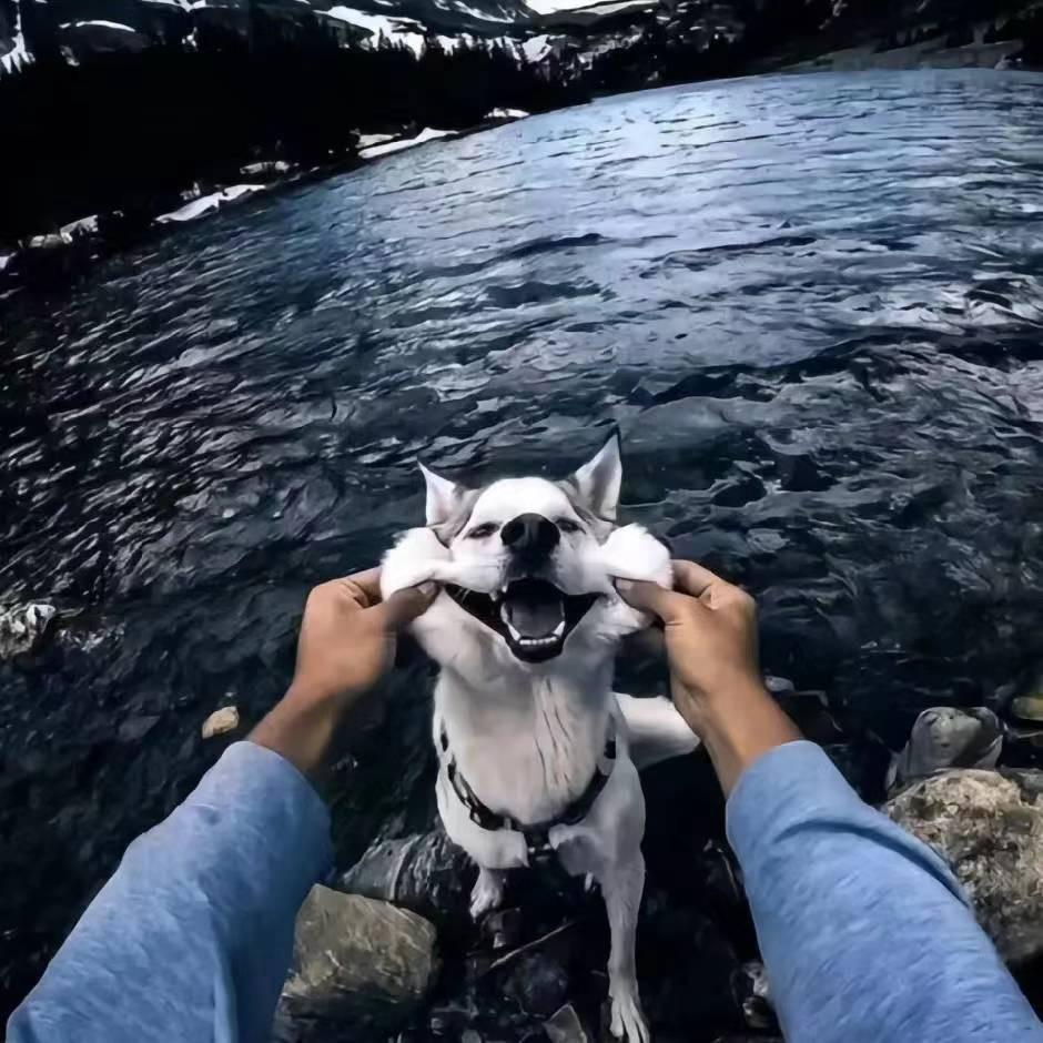 钢蛋儿的时光排骨之旅