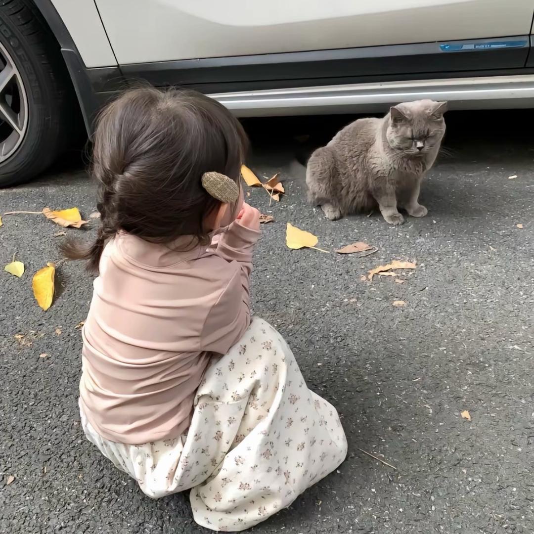 南夕