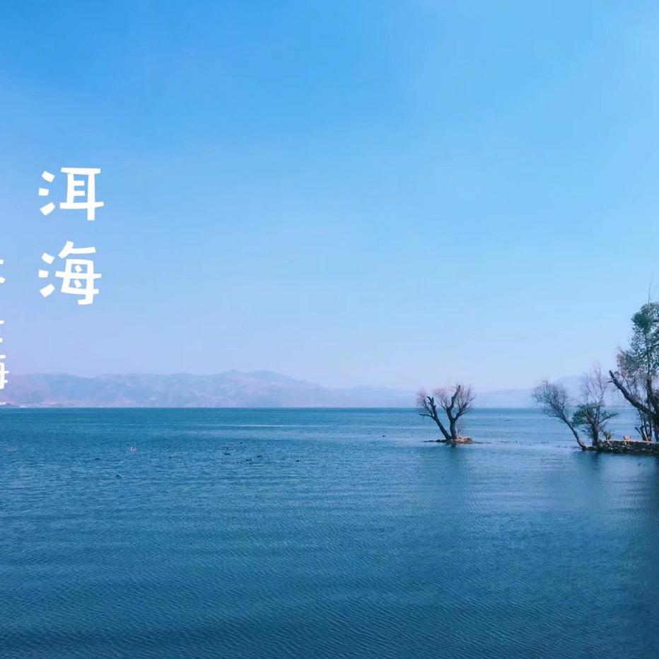 🐑咩咩🌈