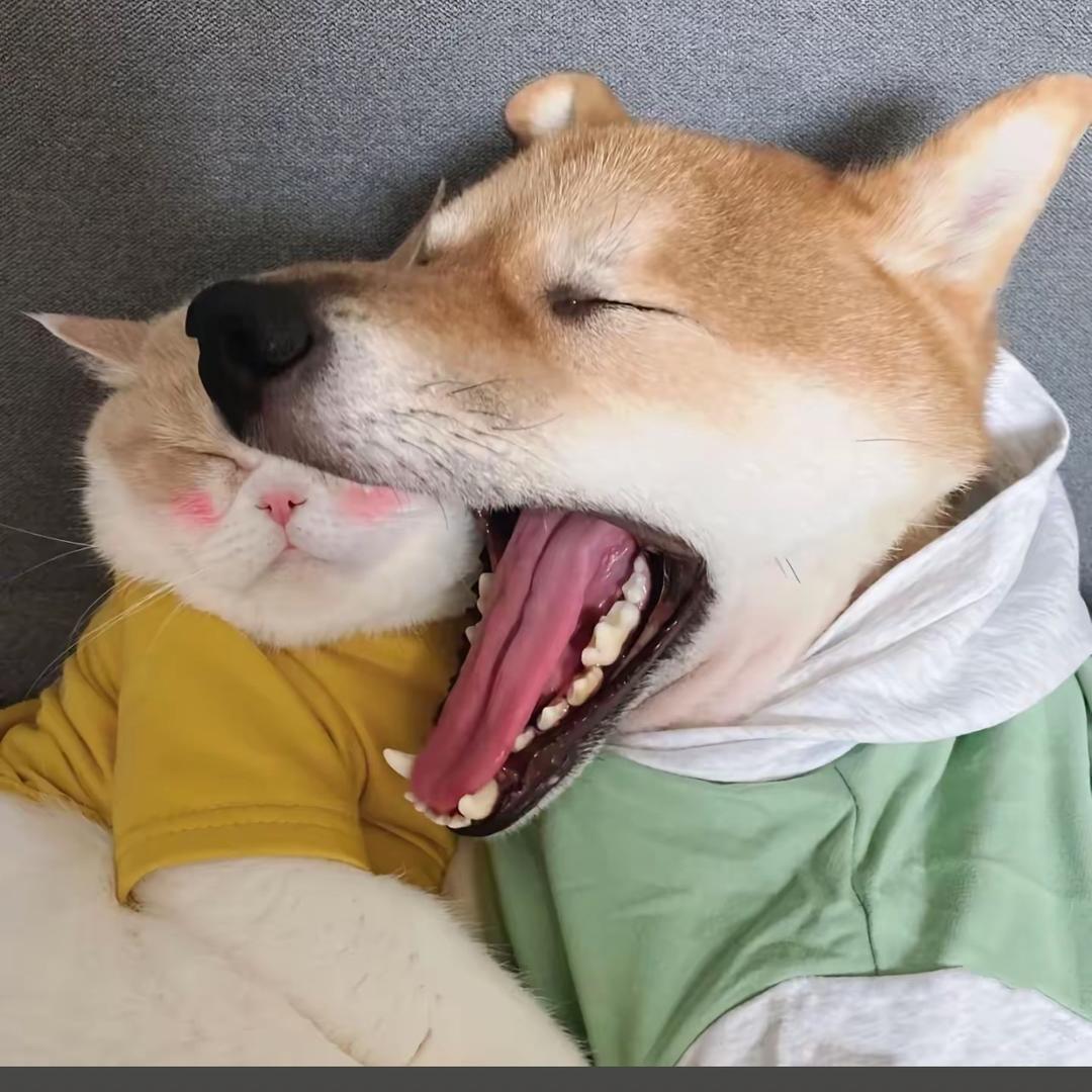 小懒。