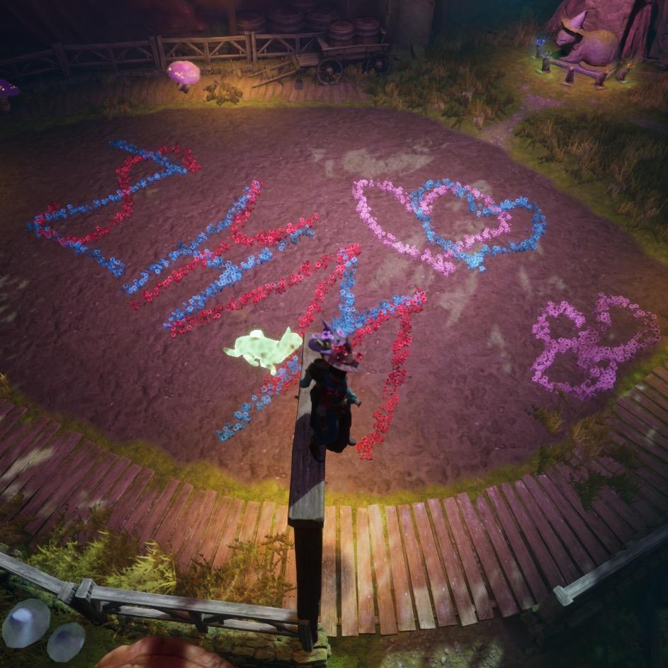 sym会带zhy去哪呢