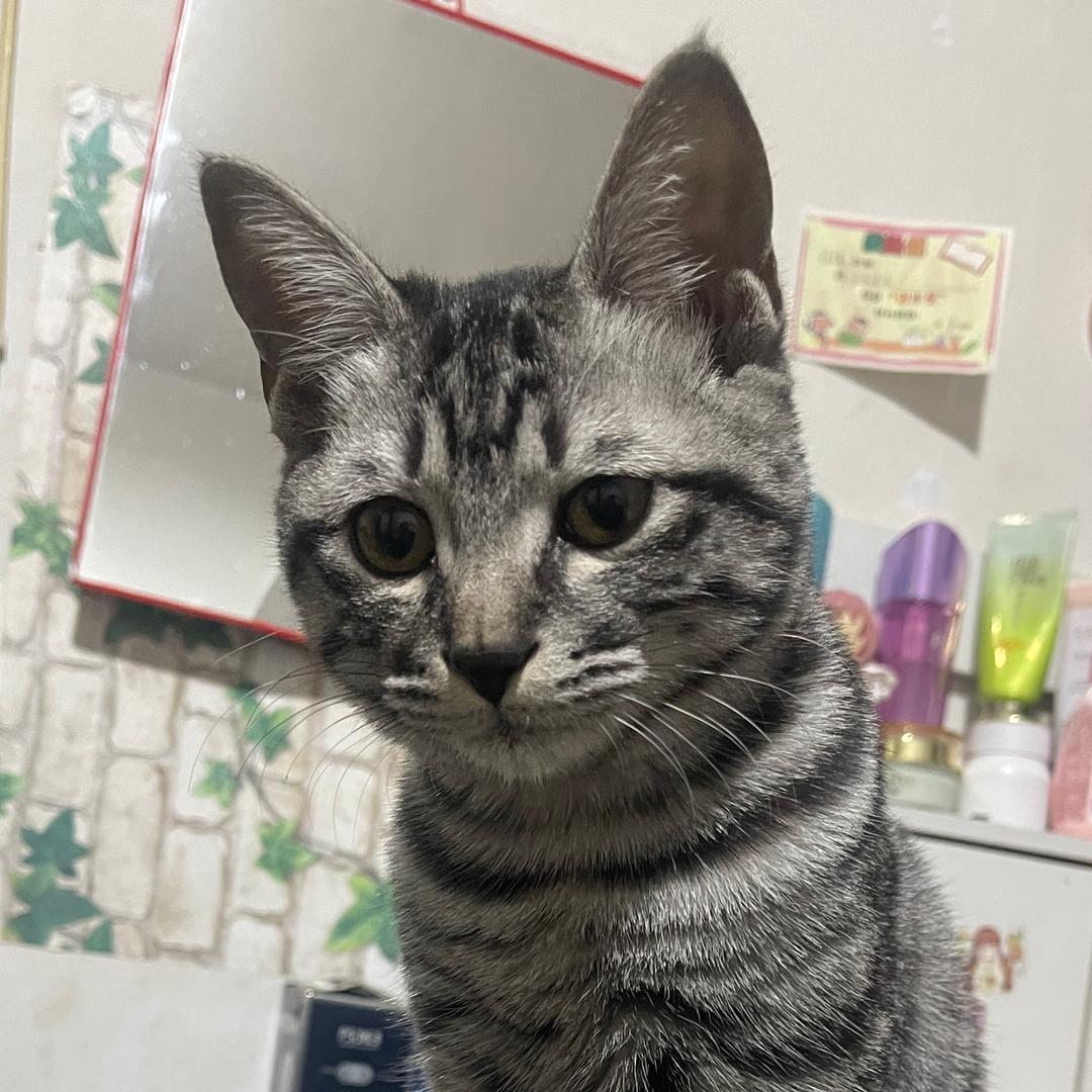 喜欢越野（峡谷越野）