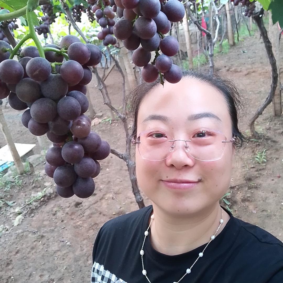 清淡龙井头像