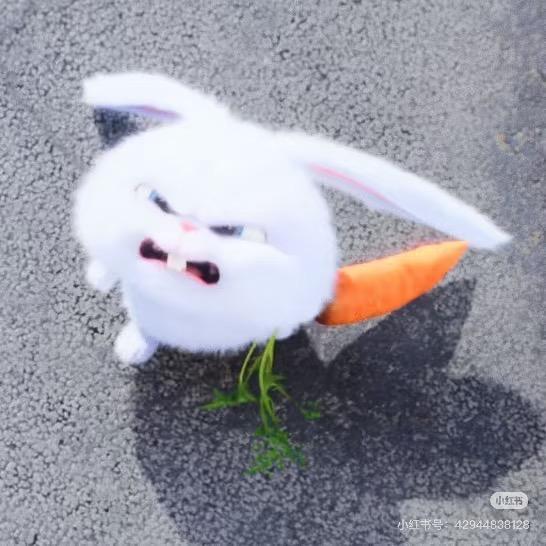我要兔了