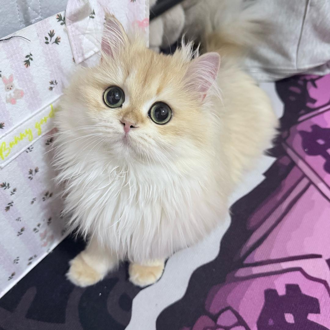 小u郁