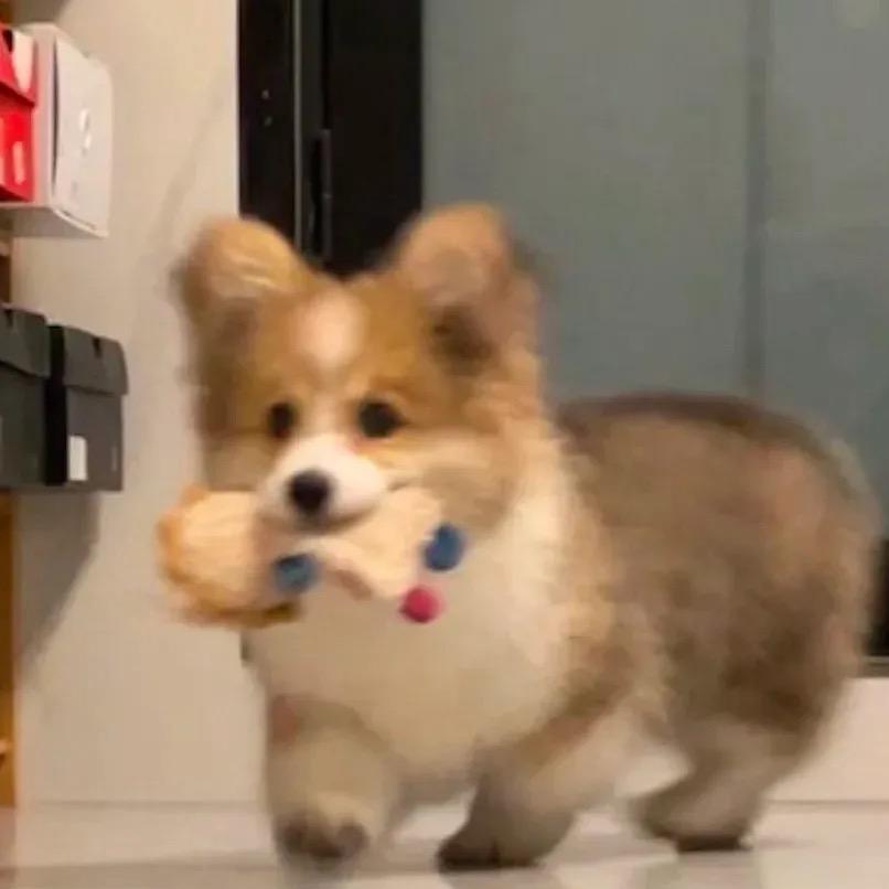 Hey!