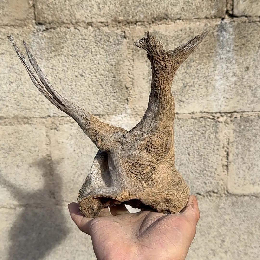 涞水县德园小丽工艺精品店