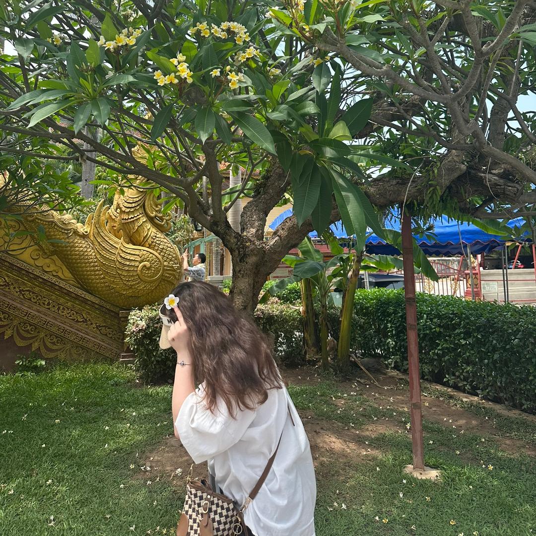 香草软糖🌈🌈