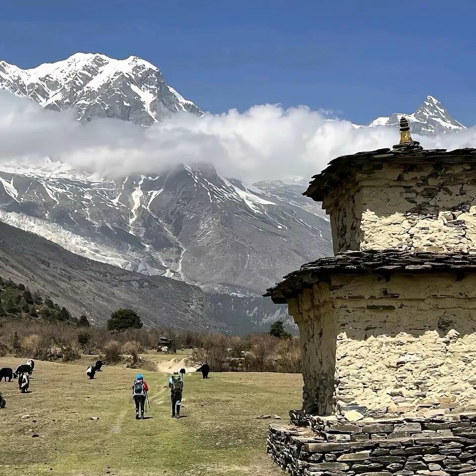 一朝相识百日思