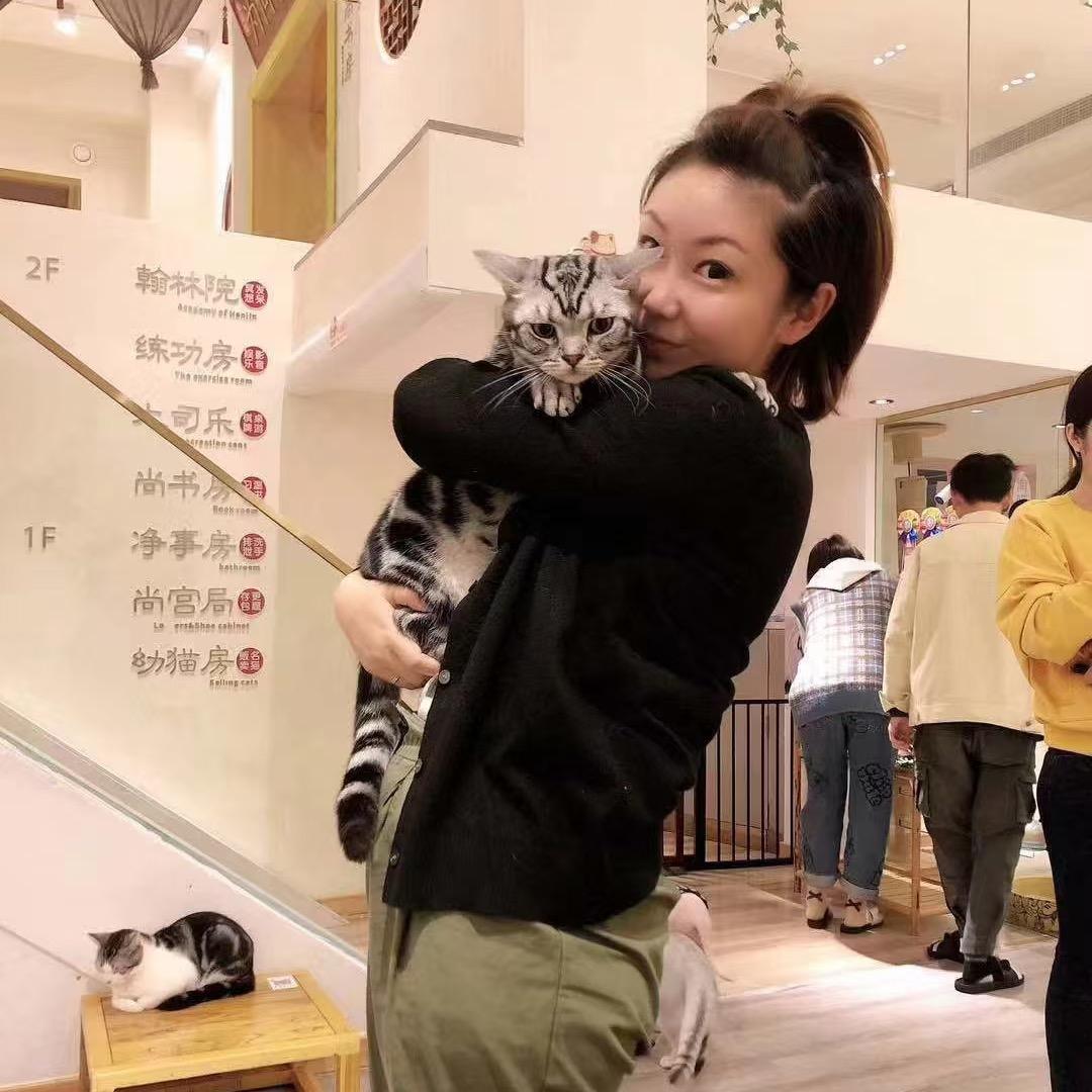 太阳缅因猫雯雯