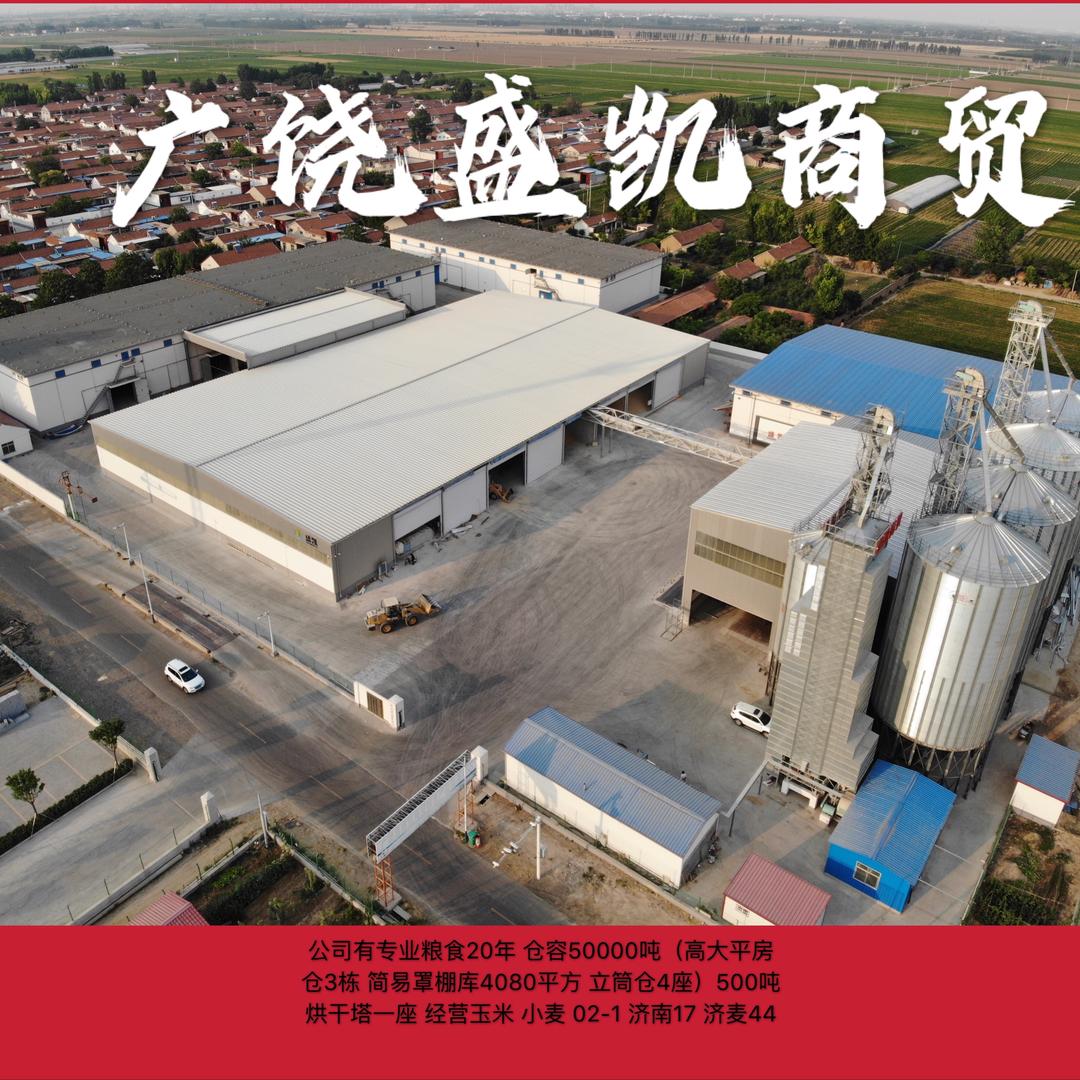 山东盛凯粮食贾立强