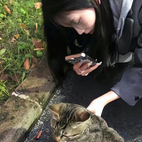 犯困就睡觉