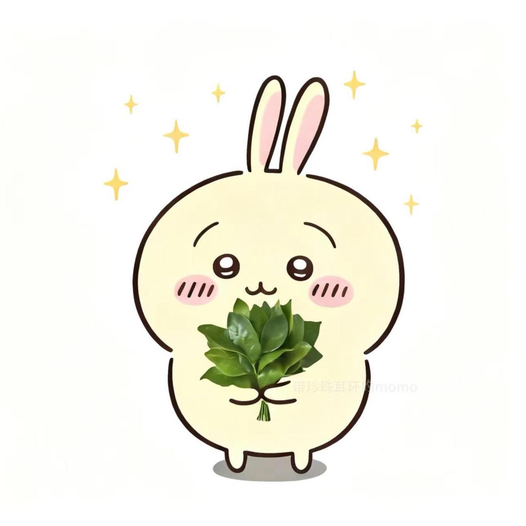 ₊⁺ ꒰১ 星子ᵈᵁ