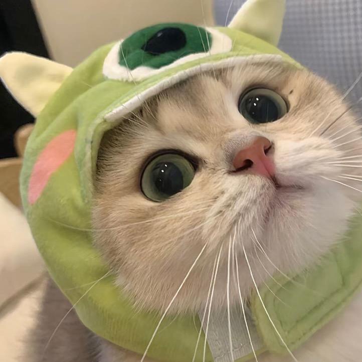 柚哟
