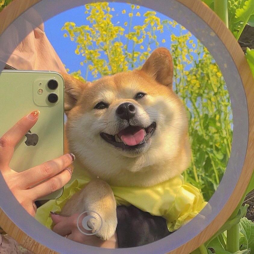 三十不吃桃