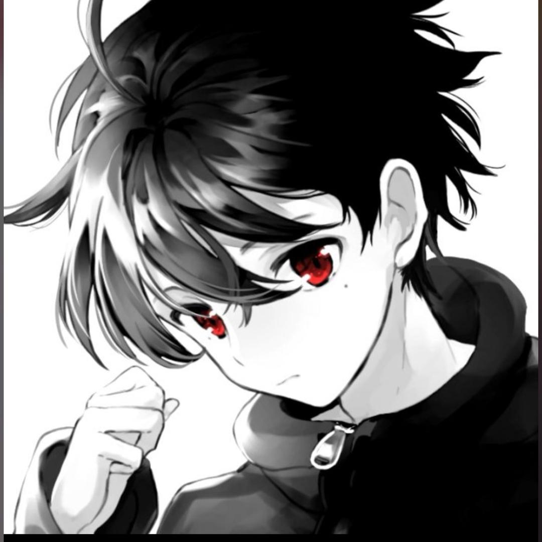 乀 A 条【条少】