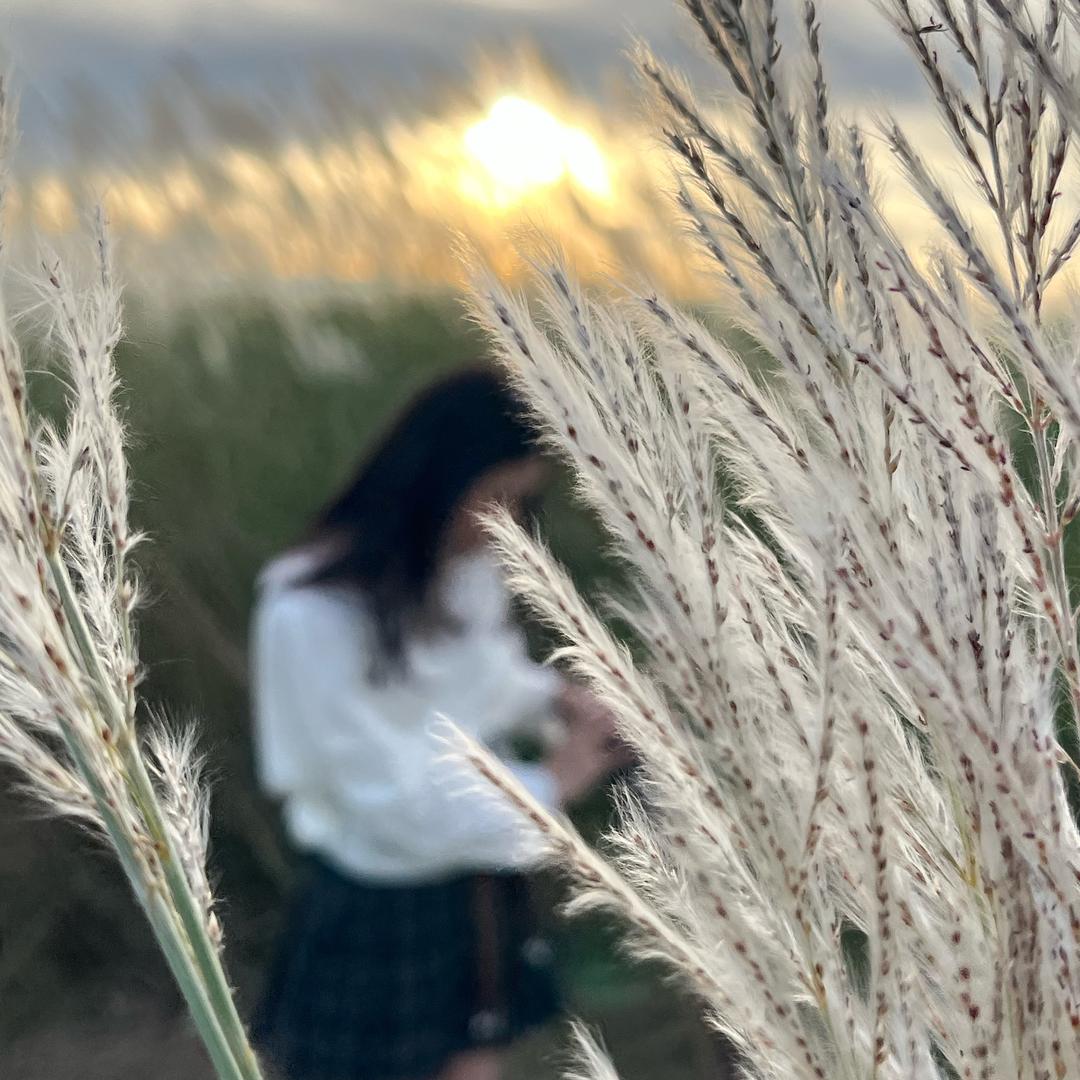 不爱吃番茄🍅的柚子