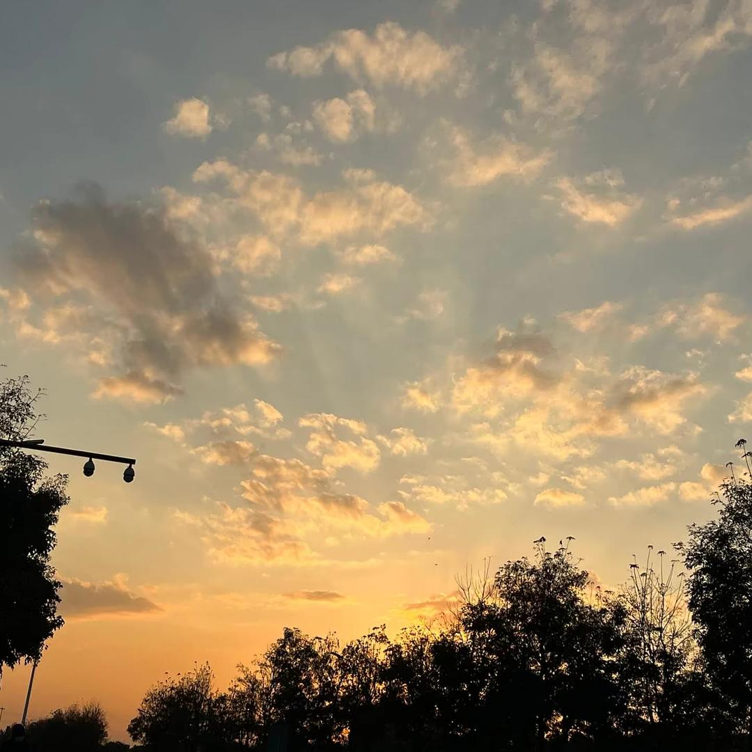 晓璐相伴典南咨询铺子