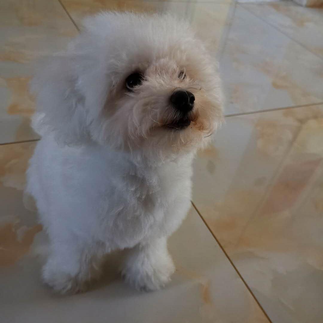 稳成儿～