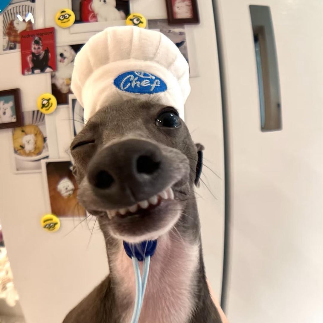 前脑额叶切除术