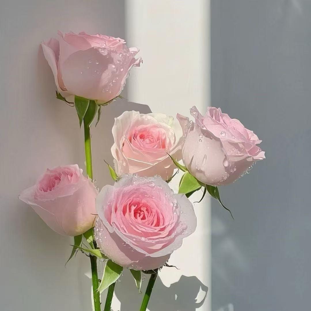 "ᝰꫛꪮꪮꫜ 🌙