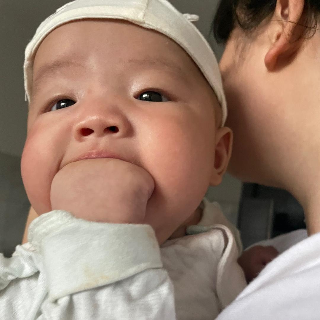 小玥玥恐龙抗狼