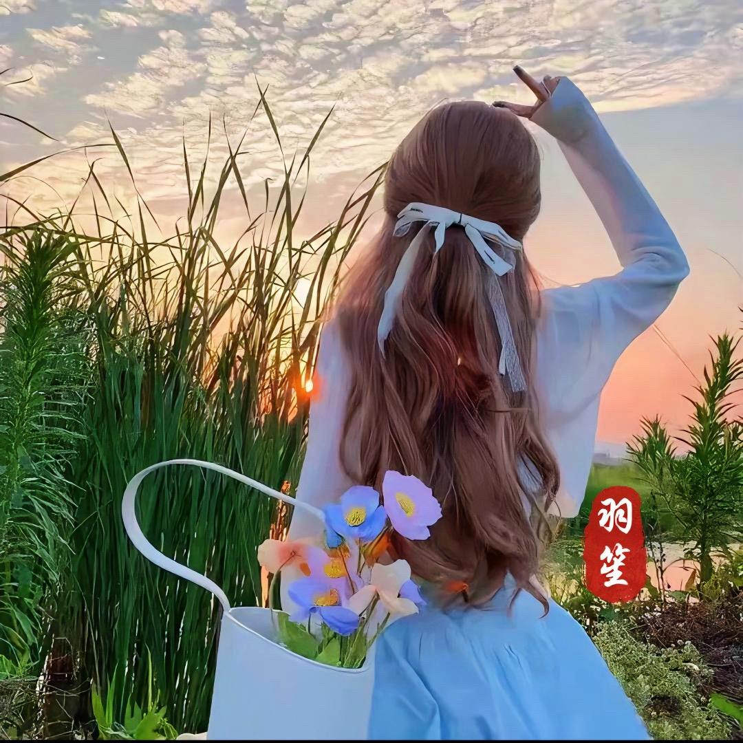 羽笙情感