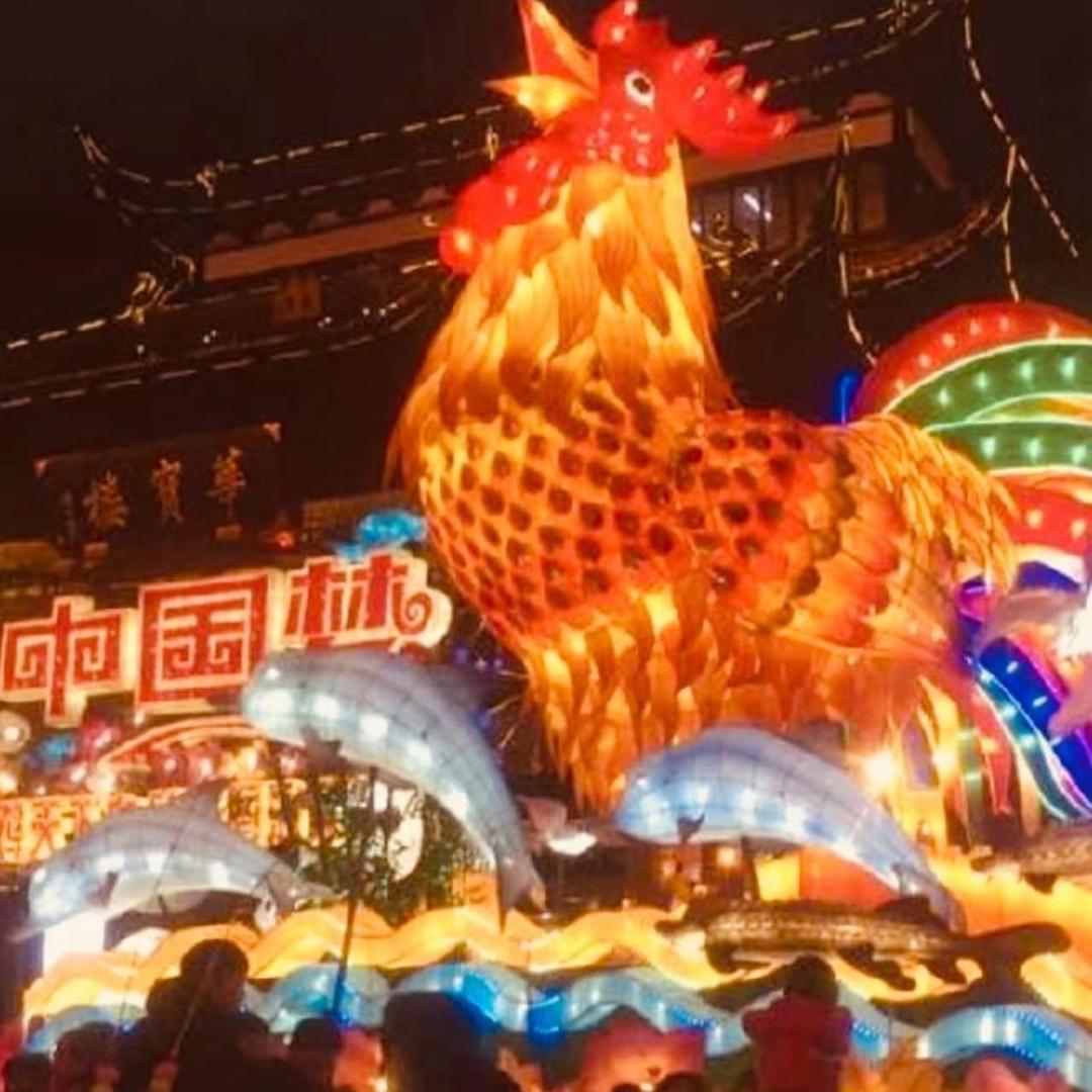 同行同往