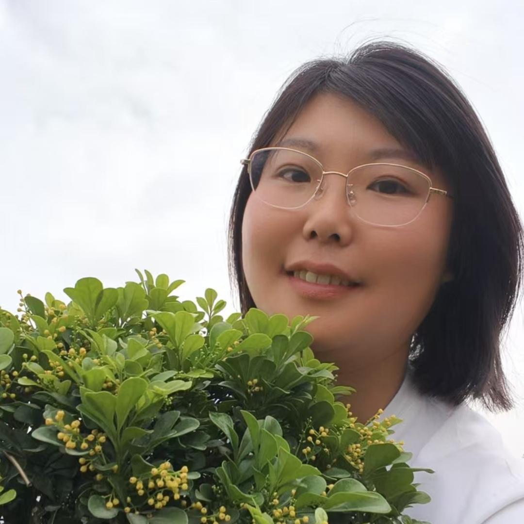 创境绿植盆景基地