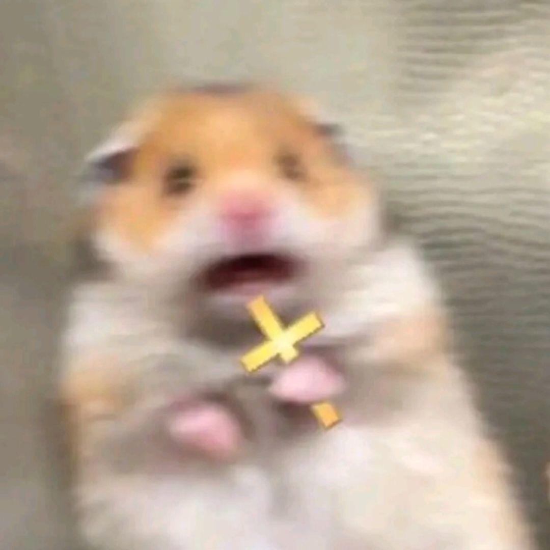 一口一个麻辣兔头