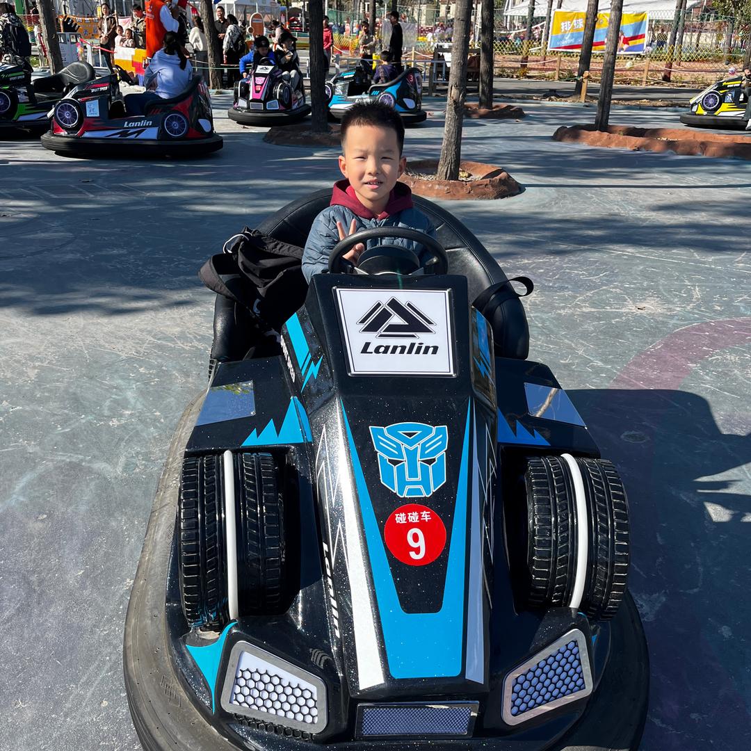 天若有情天亦老