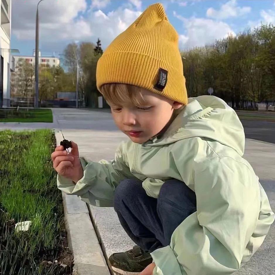 金总的舔狗
