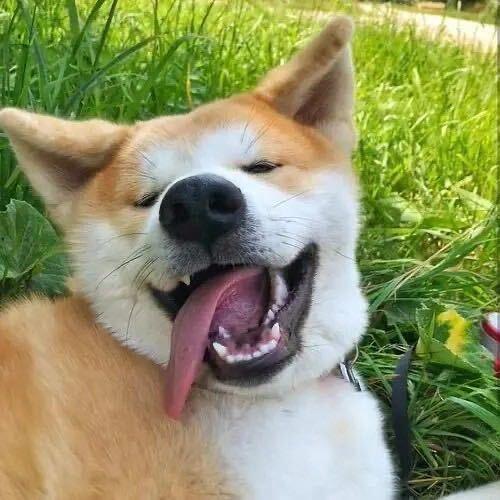 心动扌必然心To