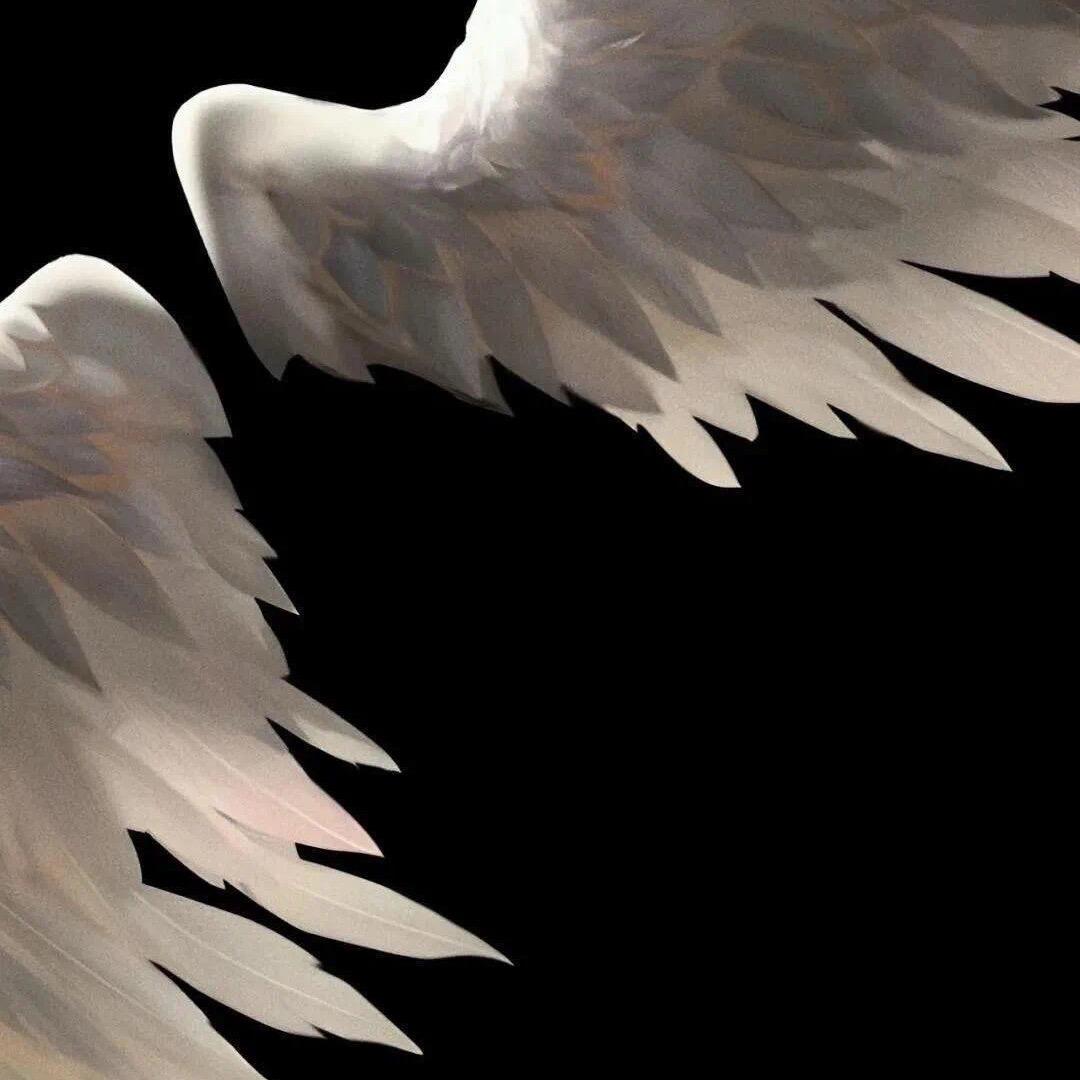ملائكة