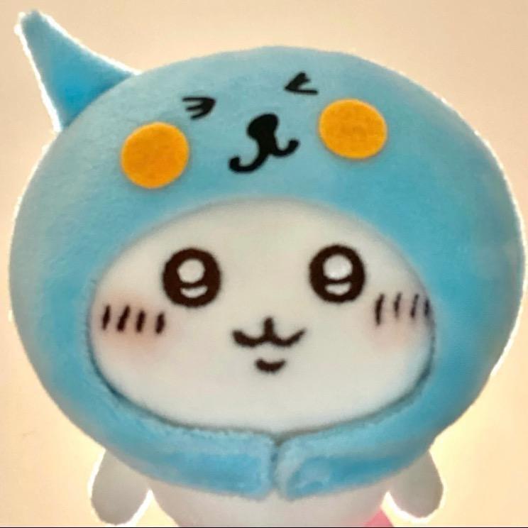 小白