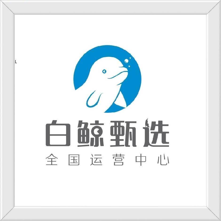 白鲸电商
