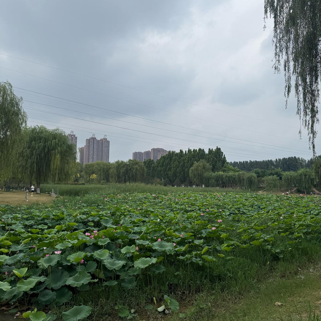 中