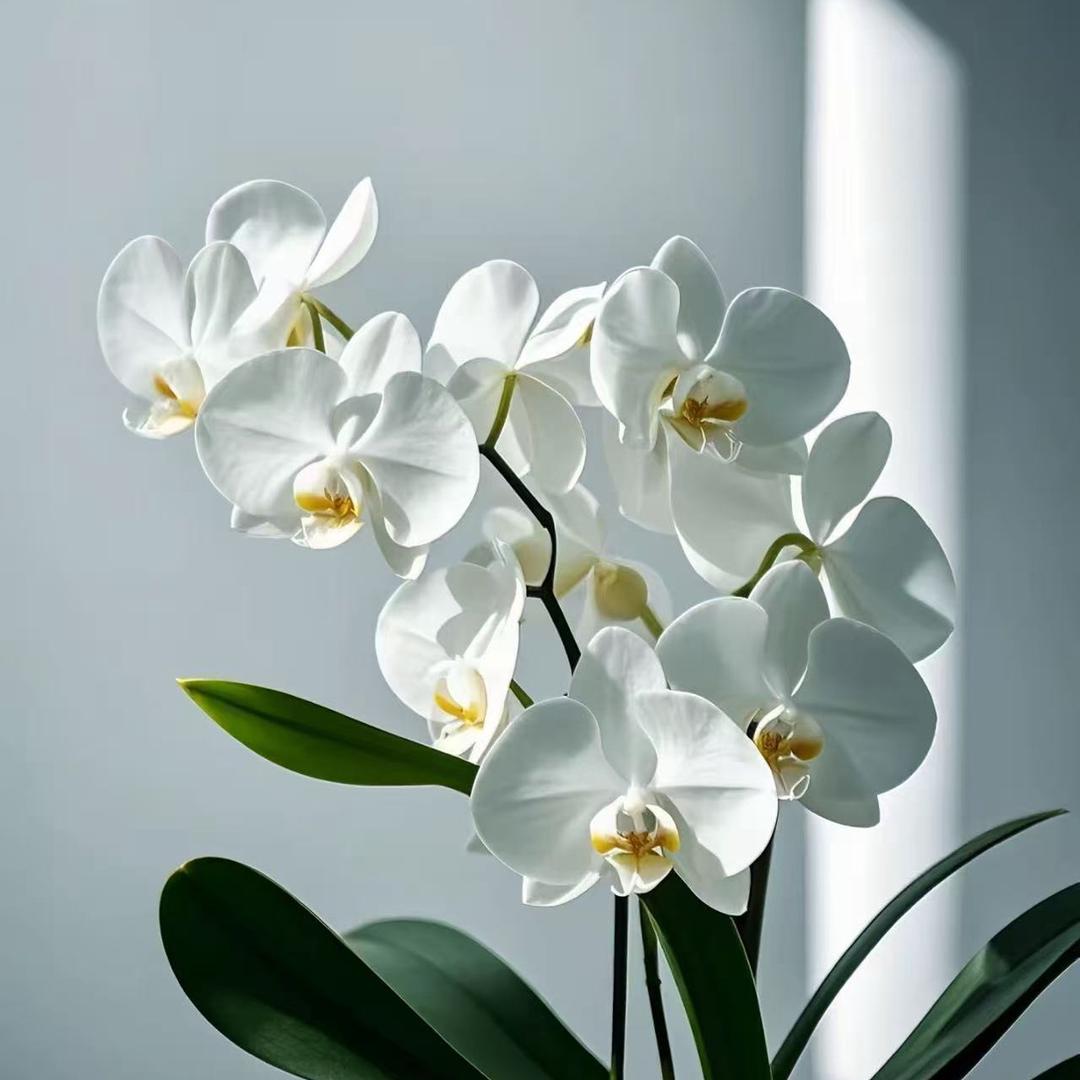 杨老师面部瑜伽