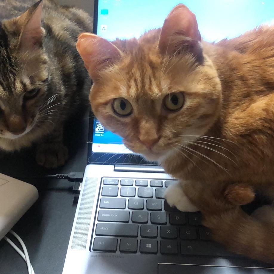 英文脑洞研究所