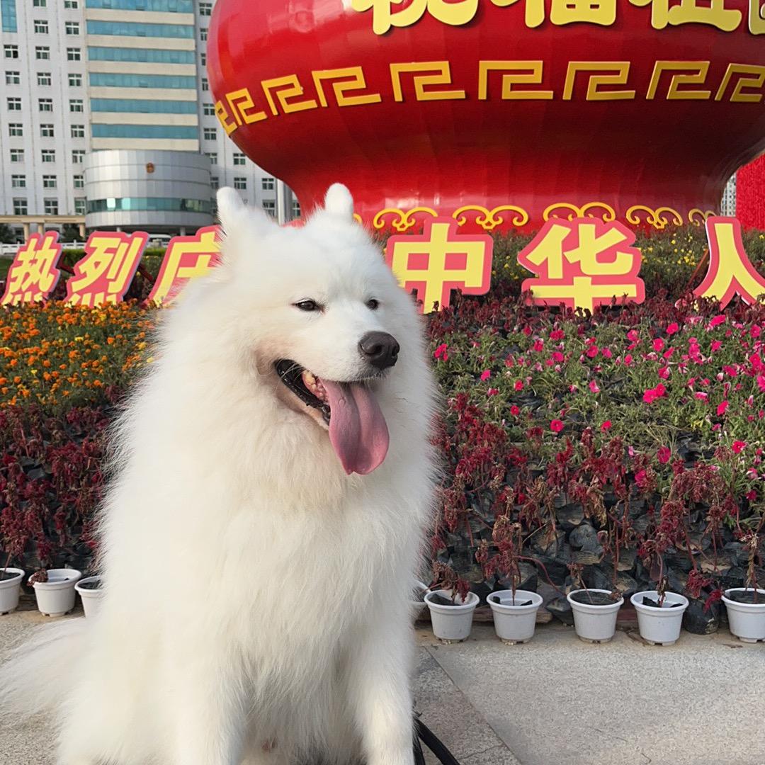 回眸一笑
