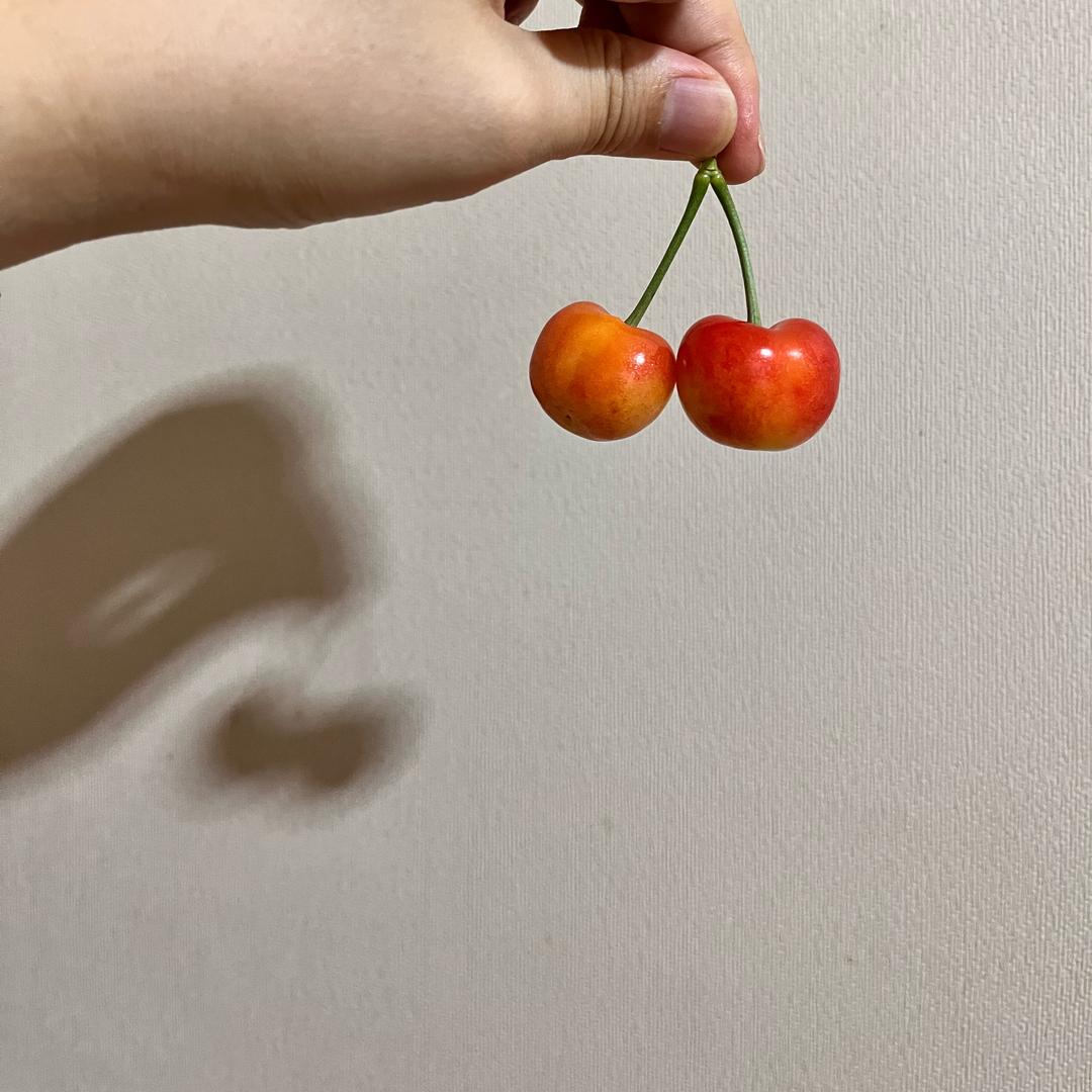 好运连绵🐱👩