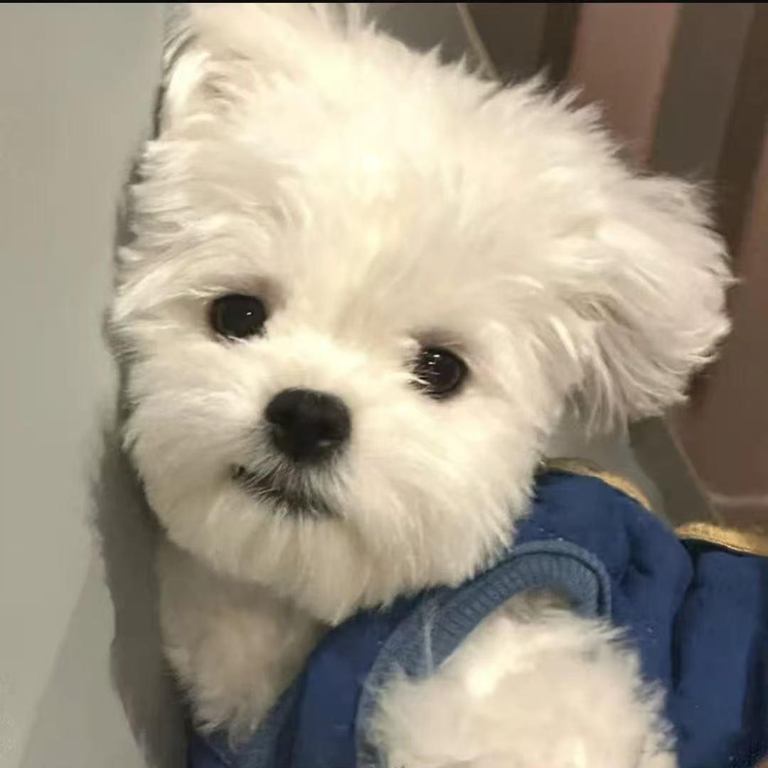 万庆堂