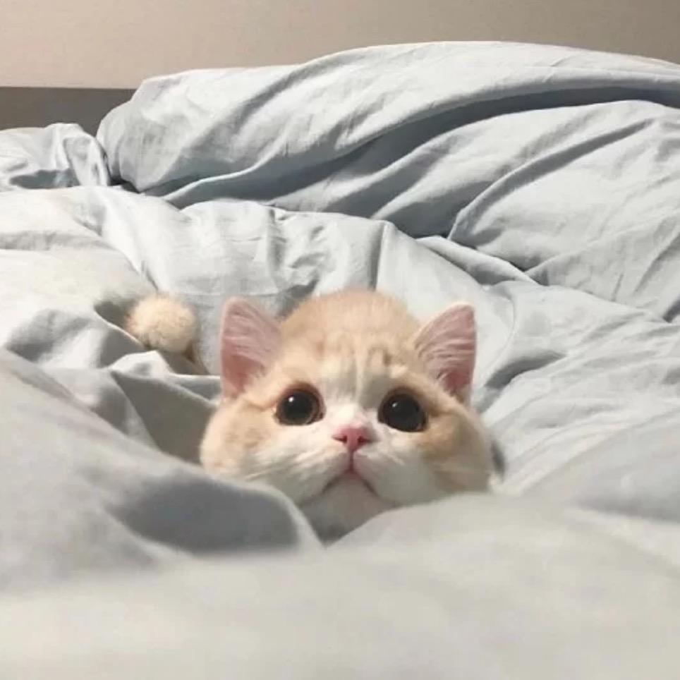 檷