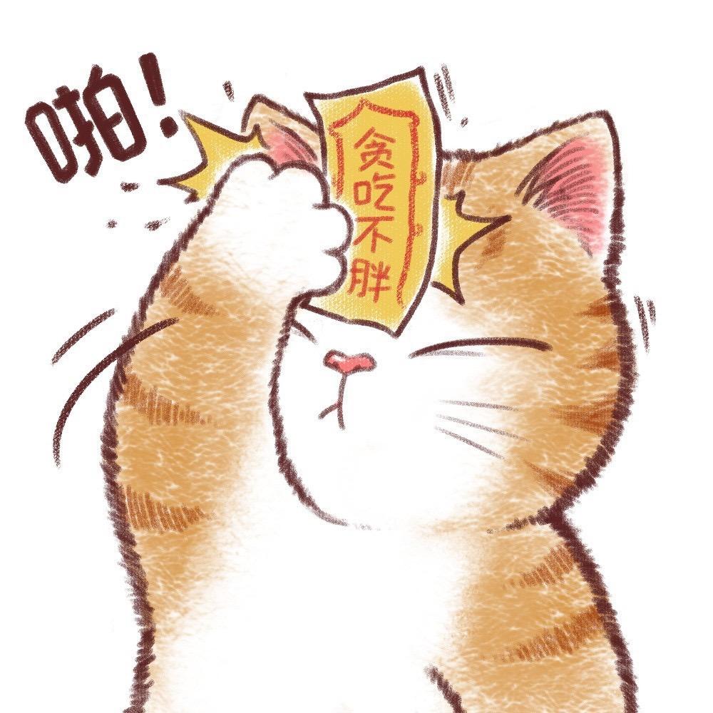 🌈🐱🐱Fiona（减肥励志版）