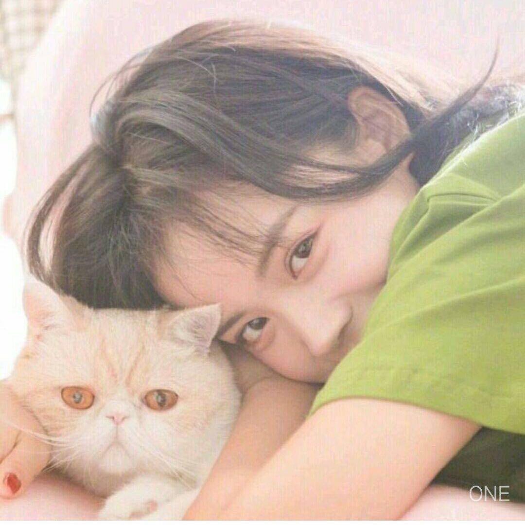 梅你不行❤️