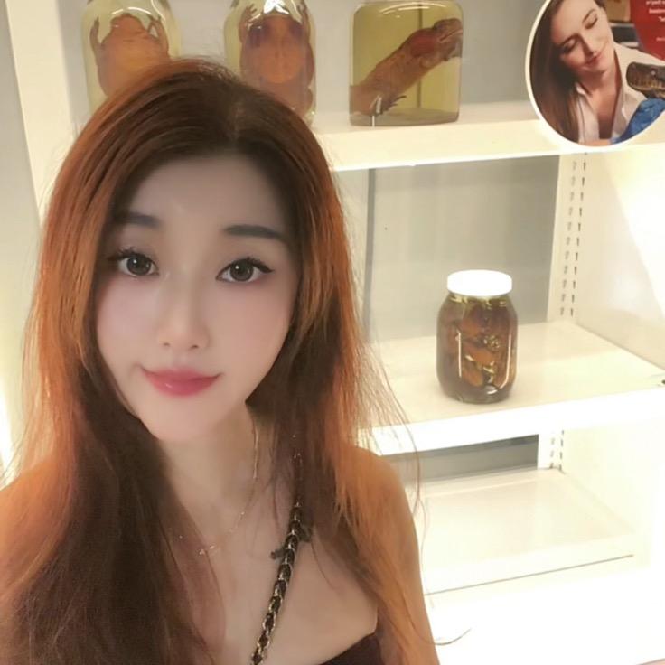 小白🐇……👸