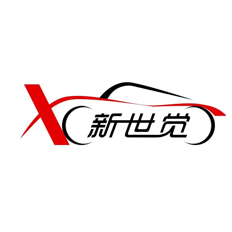 新世觉汽车脚垫