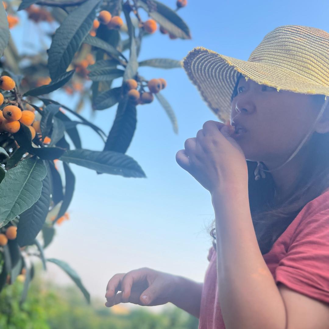 静子的自建房（装修版）