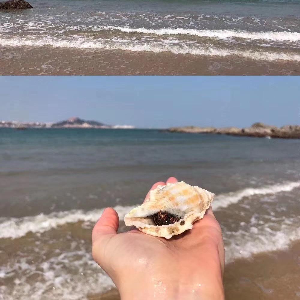 🌸🈸家四姑娘