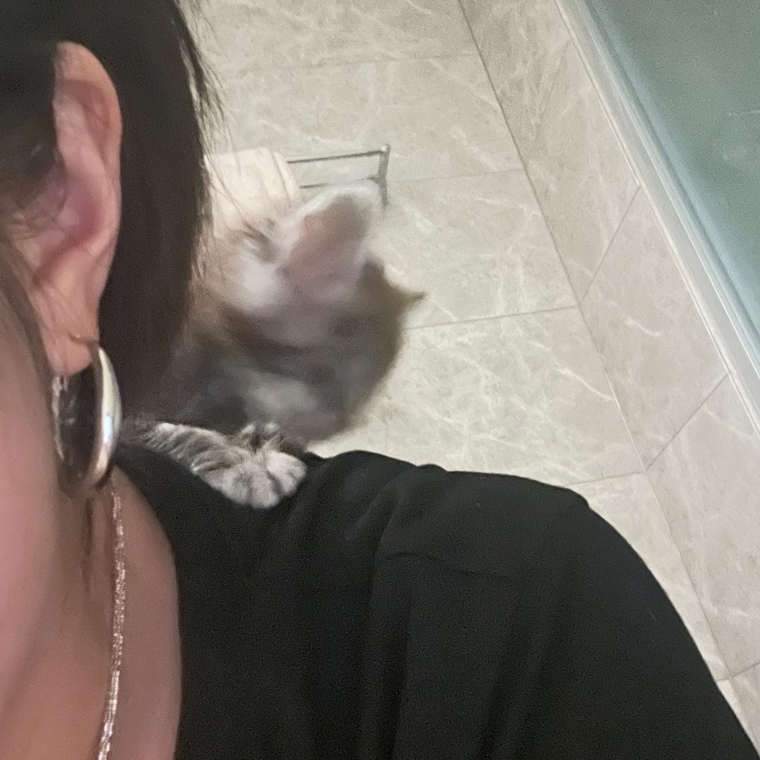 C希🐾